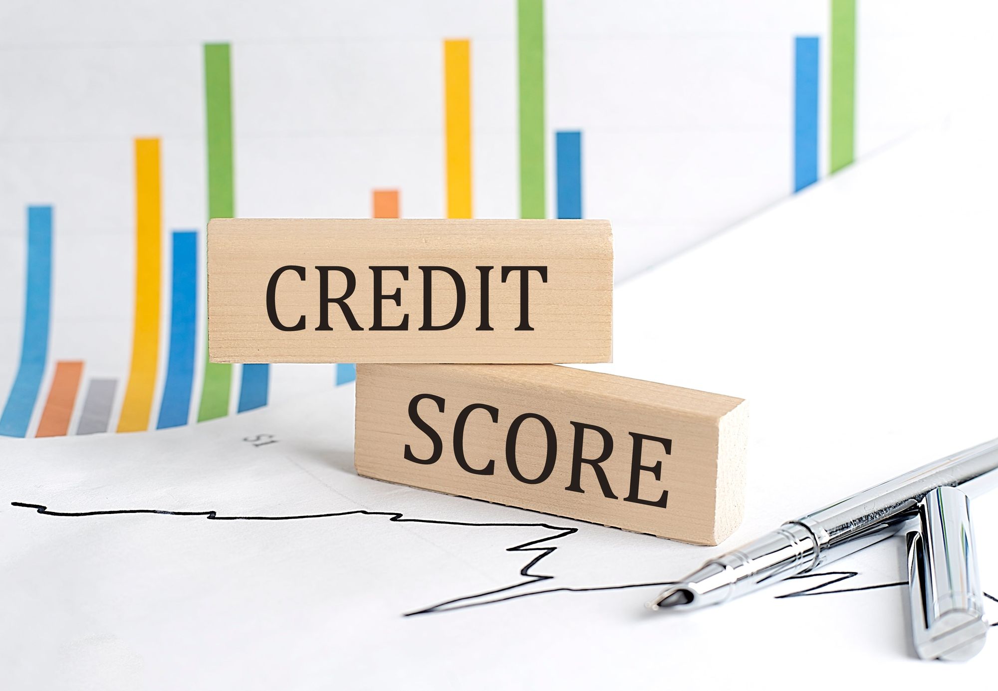 Understanding Commercial Credit Information Reports: Types and Importance